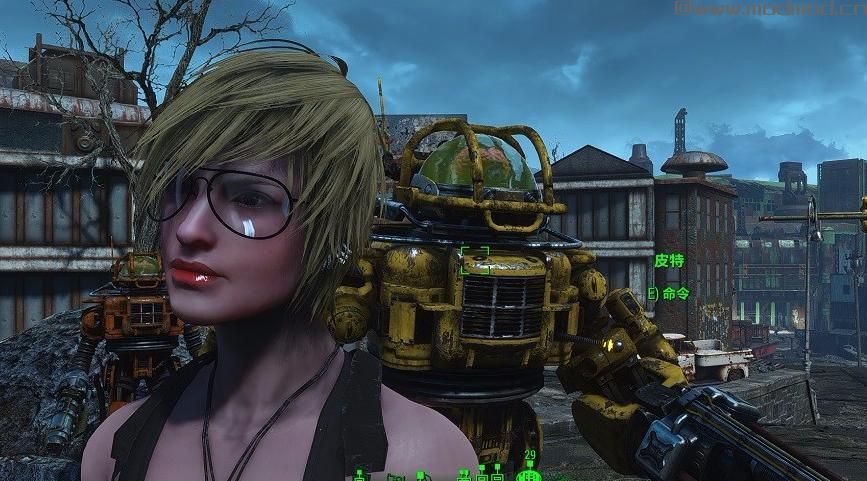 辐射4MOD M-skin女性整体皮肤材质MOD