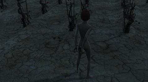 辐射4MOD Torture Devices - 刑具装置 v1.8 汉化版