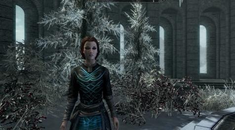 上古卷轴5：重置版MOD 女式长袍替代品