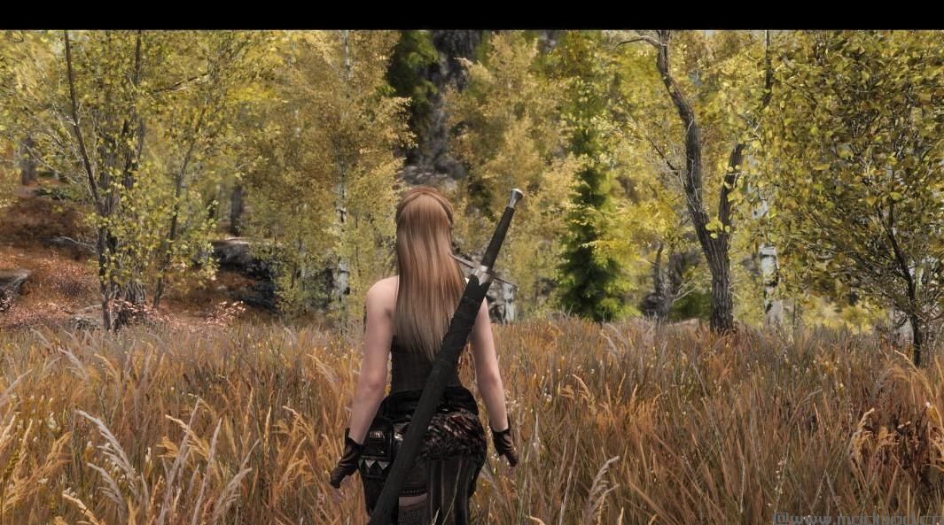 Imaginarium ENB