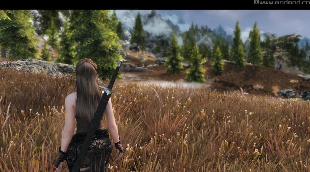 上古卷轴5：重置版MOD Imaginarium ENB
