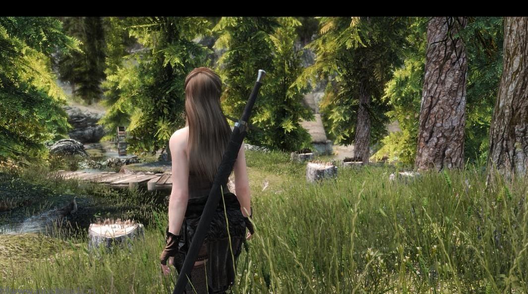 上古卷轴5：重置版MOD Imaginarium ENB