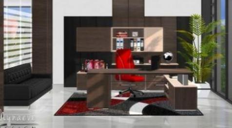 模拟人生4MOD 工作室11