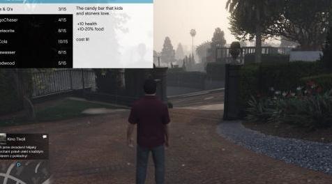 侠盗猎车手5MOD 人的需要