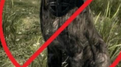 上古卷轴5：重置版MOD 麻醉药品重新制作-没有动物报告犯罪