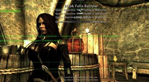 上古卷轴5：重置版MOD 较少侵入的HUD II SE