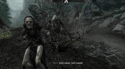 上古卷轴5：重置版MOD 奇怪的友谊1 - hagravens