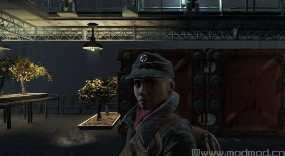辐射4MOD 兄弟会-nacui大修&mdash;&mdash;Brotherhood of Steel Nazi Overhaul