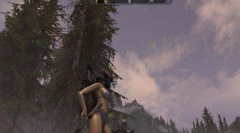 上古卷轴5：天际MOD Shiny Skin-光泽的肌肤 v1.2.1