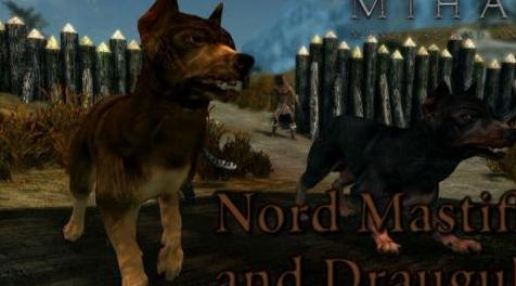 上古卷轴5：天际MOD 诺德獒犬和德鲁古尔夫MOD