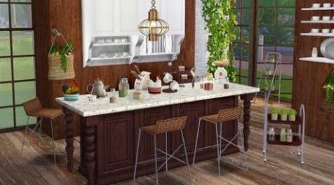 模拟人生4MOD 厨房17