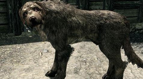 上古卷轴5：重置版MOD 必需NPC-Puppers SSE