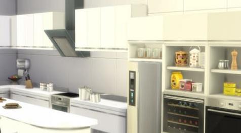 模拟人生4MOD 厨房饰品1