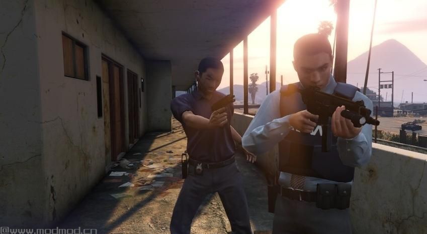 侠盗猎车手5MOD Polish ABW and CBŚP Polska Poland Polski