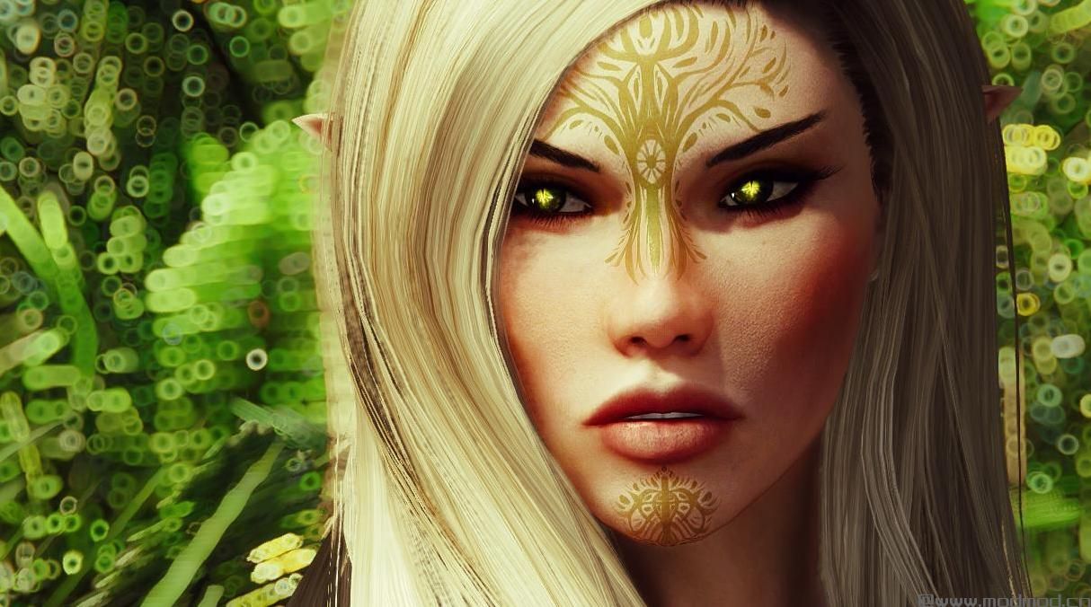 上古卷轴5：重置版MOD Dragon Age Dalish Vallaslin Face Racetoo
