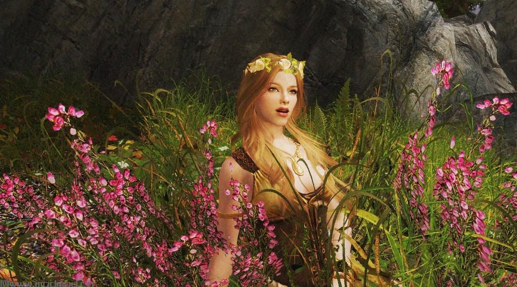 上古卷轴5：重置版MOD 新Hroki Replacer