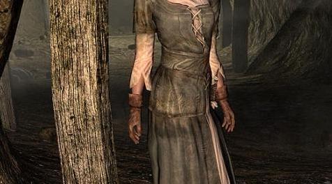 上古卷轴5：重置版MOD 基本NPC-木工SSE