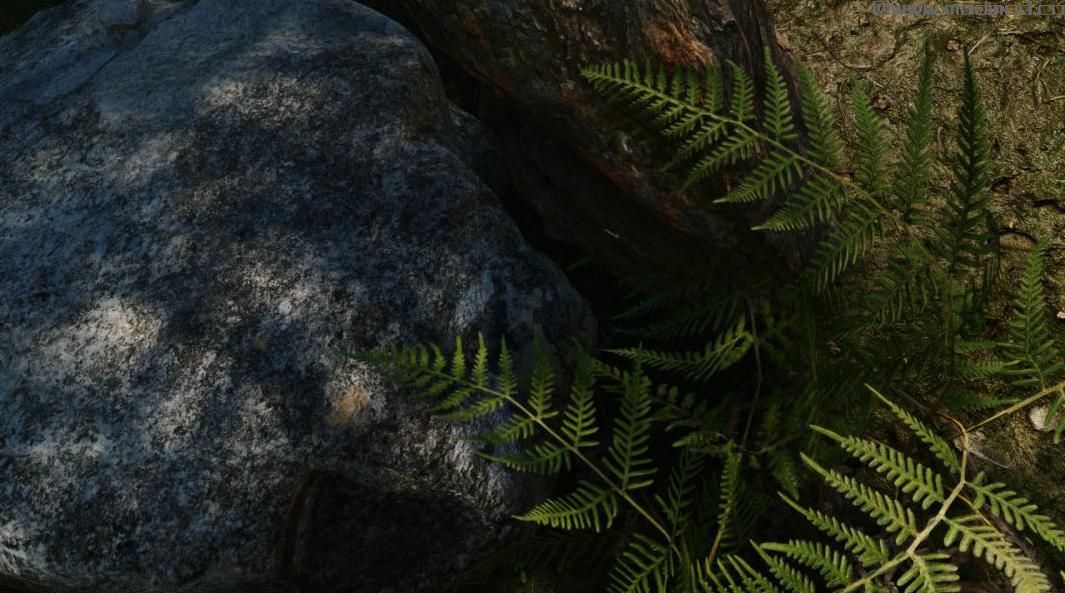 上古卷轴5：重置版MOD Skyrim三维岩石
