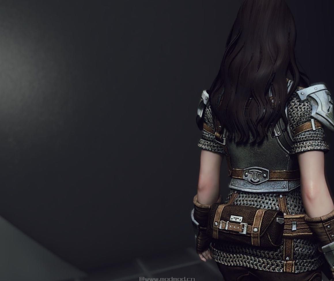 上古卷轴5：天际MOD 9204 Bless HV0003 by Team TAL，女式盔甲