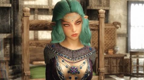 上古卷轴5：天际MOD 高精灵姐妹随从