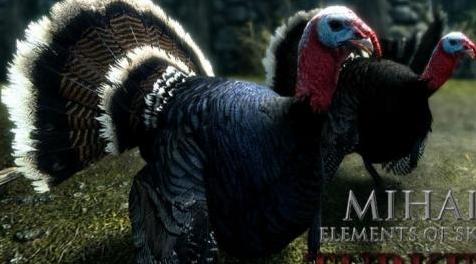上古卷轴5：天际MOD 火鸡MOD
