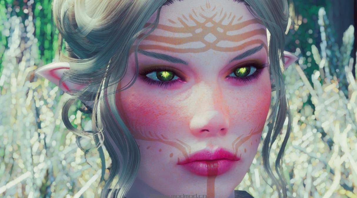 上古卷轴5：重置版MOD Dragon Age Dalish Vallaslin Face Racetoo