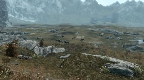上古卷轴5：重置版MOD 真正的野生动物 - 德国 - 改进