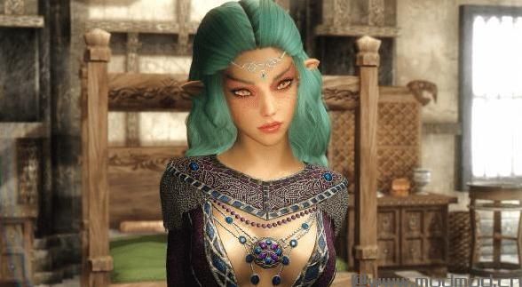 上古卷轴5：天际MOD 高精灵姐妹随从