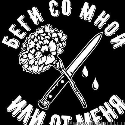 侠盗猎车手5MOD T恤俄罗斯