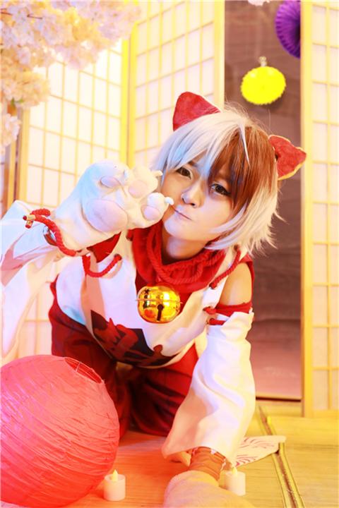 《阴阳师》招财猫（御魂）,cosplay,二次元