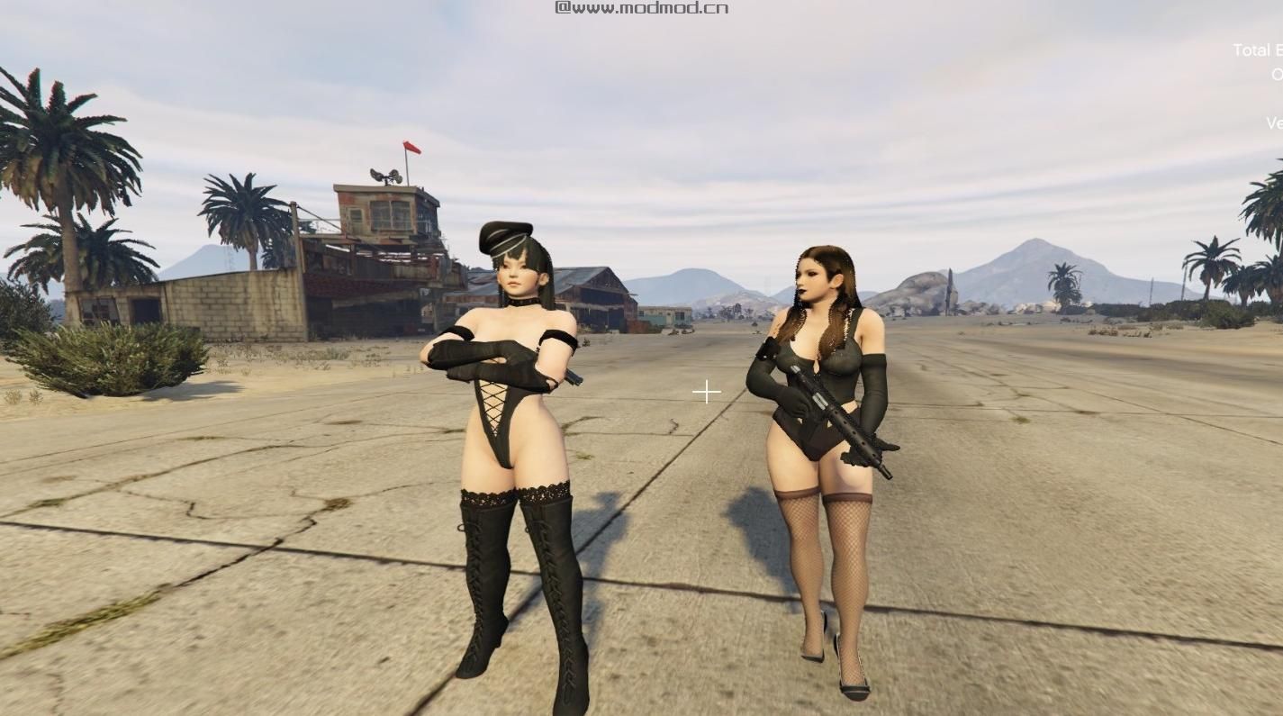 侠盗猎车手5MOD DOA Military/combat pack 2