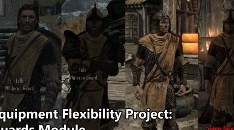 上古卷轴5：重置版MOD 设备灵活性项目完成 - 土匪卫兵法师Forsworn内战Dawnguard
