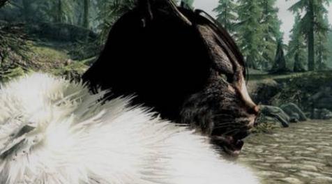 上古卷轴5：天际MOD  Kha&rsquo;thok - The Old Khajiit by TammyOnline年迈的虎人随从