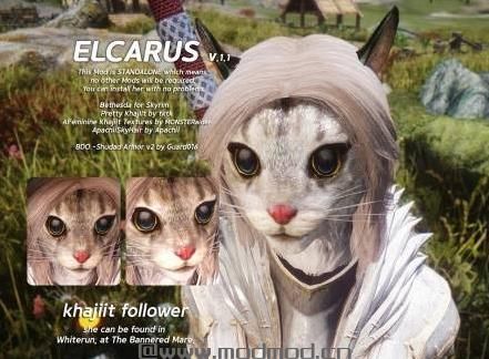 上古卷轴5：天际MOD ELCARUS-Standalone Khajiit Follower小虎人随从by amuro0077