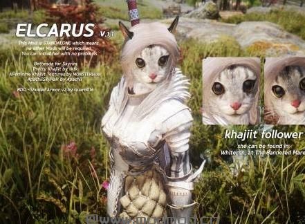 上古卷轴5：天际MOD ELCARUS-Standalone Khajiit Follower小虎人随从by amuro0077