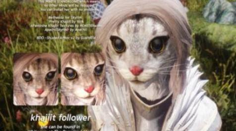 上古卷轴5：天际MOD ELCARUS-Standalone Khajiit Follower小虎人随从by amuro0077