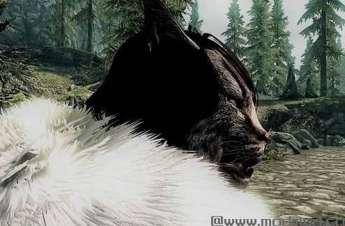 上古卷轴5：天际MOD  Kha&rsquo;thok - The Old Khajiit by TammyOnline年迈的虎人随从