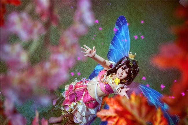 《LoveLive！》矢泽妮可花妖精cosplay,cosplay图片,二次元图片