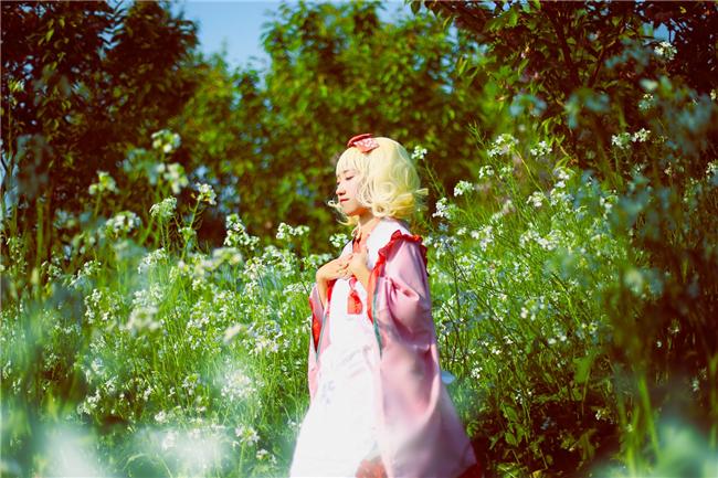 《蔷薇少女》雏莓cosplay,cosplay图片,二次元图片