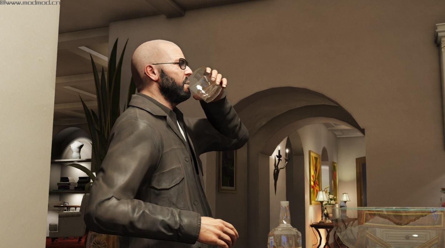 侠盗猎车手5MOD Michael is slowly getting older