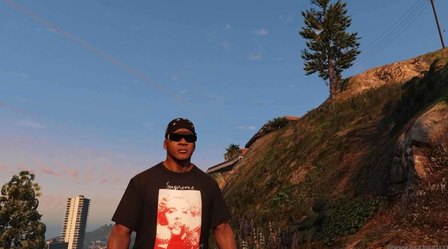 侠盗猎车手5MOD Supreme Madonna Tee 2018