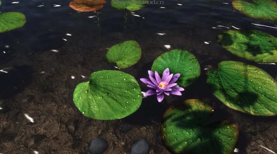 上古卷轴5：重置版MOD 水草改良
