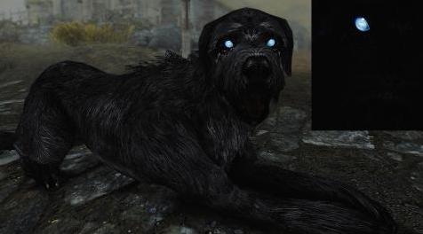 上古卷轴5：重置版MOD 独特的Barbas Retexture