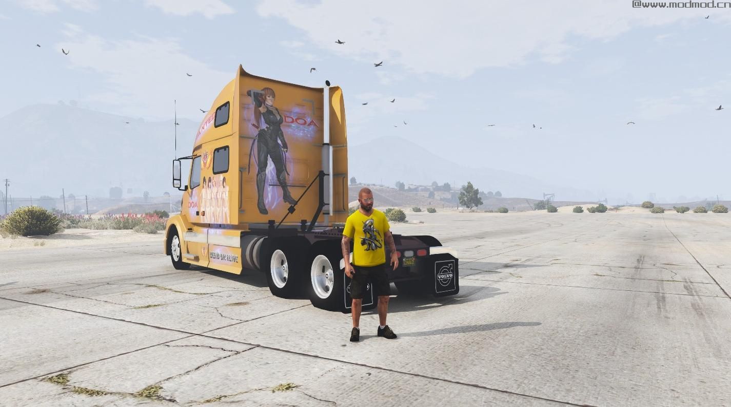 侠盗猎车手5MOD VNL 780 Livery