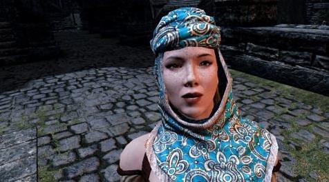 上古卷轴5：重置版MOD 更好的红卫军Alik&lsquo;r Hoods
