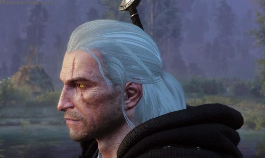 巫师3：狂猎MOD Geralt Head Tweak