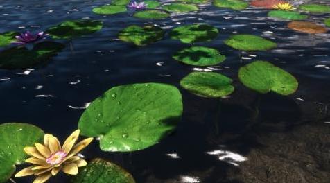 上古卷轴5：重置版MOD 水草改良