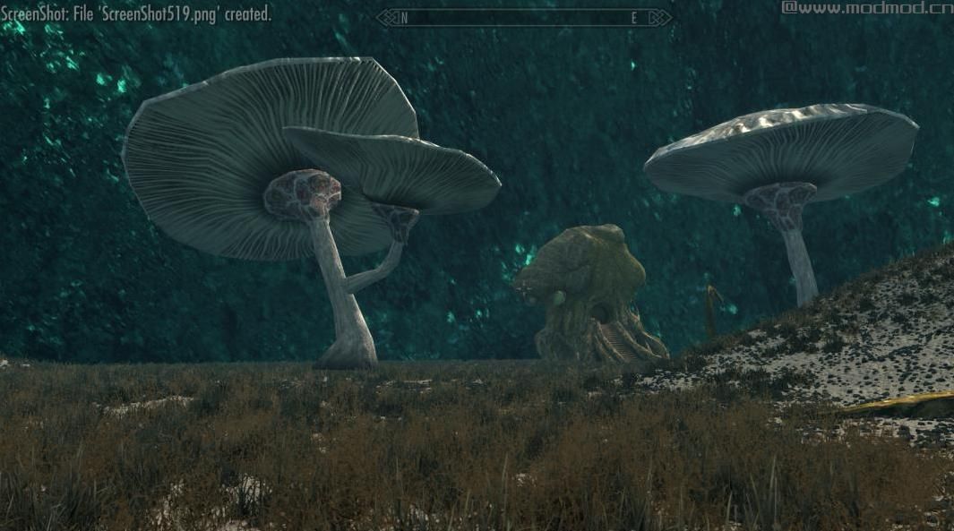 上古卷轴5：重置版MOD Tel Sarys