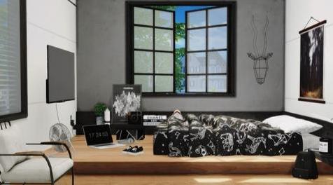 模拟人生4MOD 装饰品3