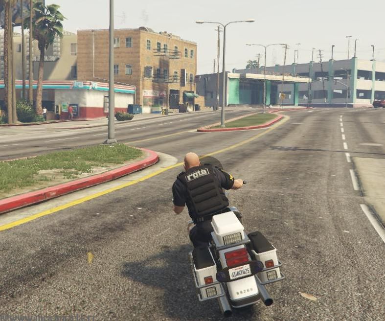 侠盗猎车手5MOD 2018 Skin ROTA PMESP